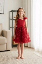 Maroon Tulle Overlay Easter Pagent Church Party Butterfly Dress Size 3T