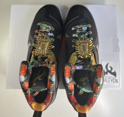 NEW Nike LeBron IX Watch The Throne 2022 | Men's Size 14 | DO9353