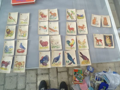 jeu de mariage animaux vintage cards - Photo 1/4