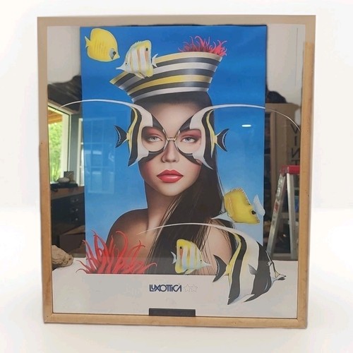 De Colección LUXOTTICA Paola Casagrande Vasos de Peces Arte Enmarcado Estampado Espejado 18x24