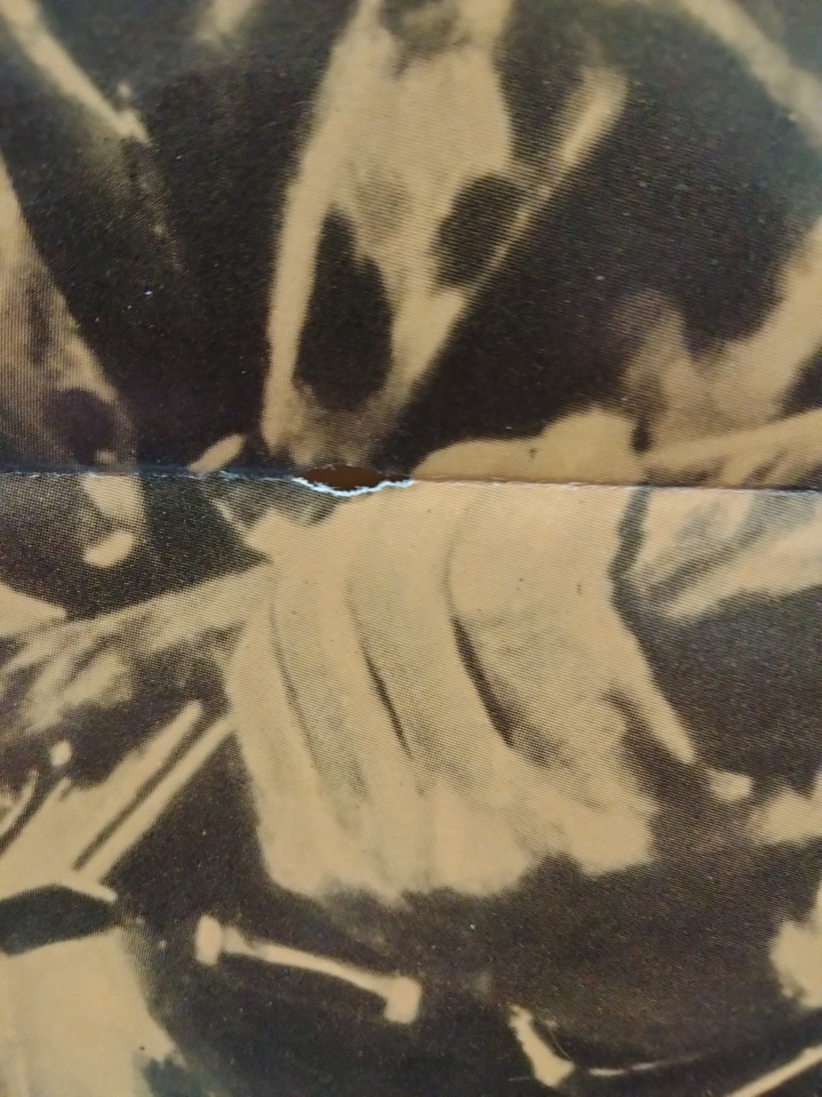 Picture 6 of 6