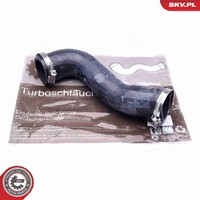 Esen SKV Ladeluftschlauch 43SKV119 FüR VW Polo 5 6R1 6C1 GTI Audi A1 8X1 8XK 8XA