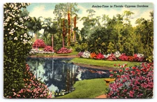 Vintage Postcard Florida Azalea Flowers Bush Shrub Cypress Gardens Pond Linen
