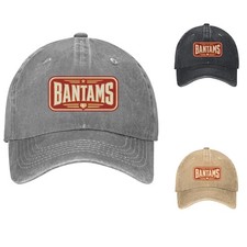 Varsity Wordmark Dad Hat Retro Sports Baseball Cap Adjustable