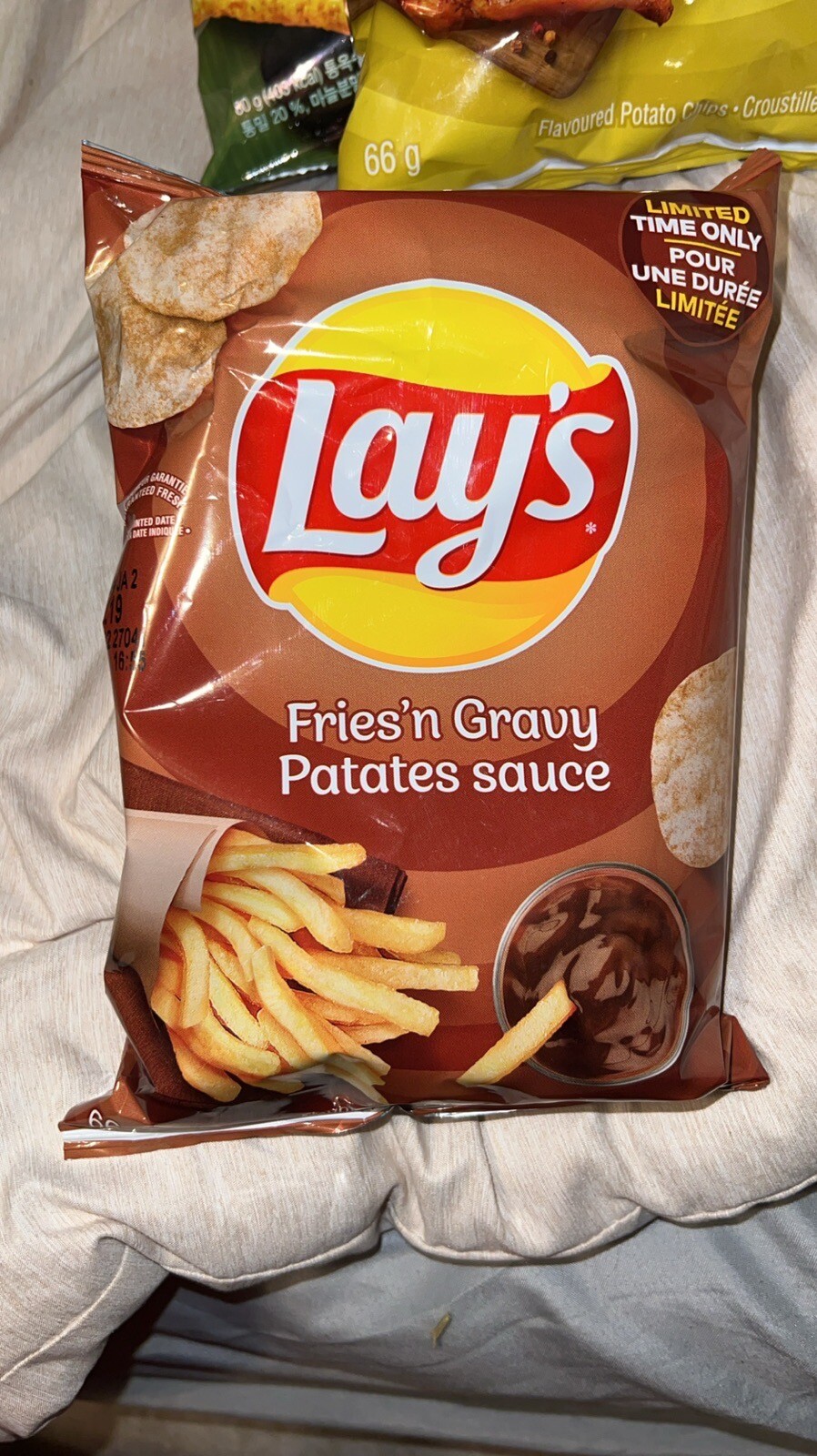 2 Bags Of Lay's Lays Fries' n Gravy Flavored Potato Chips ( LIMITED EDITION) eBay