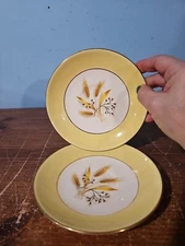 CHINA: Century Service Corp, AUTUMN GOLD wheat, SAUCERS only, Set of 2