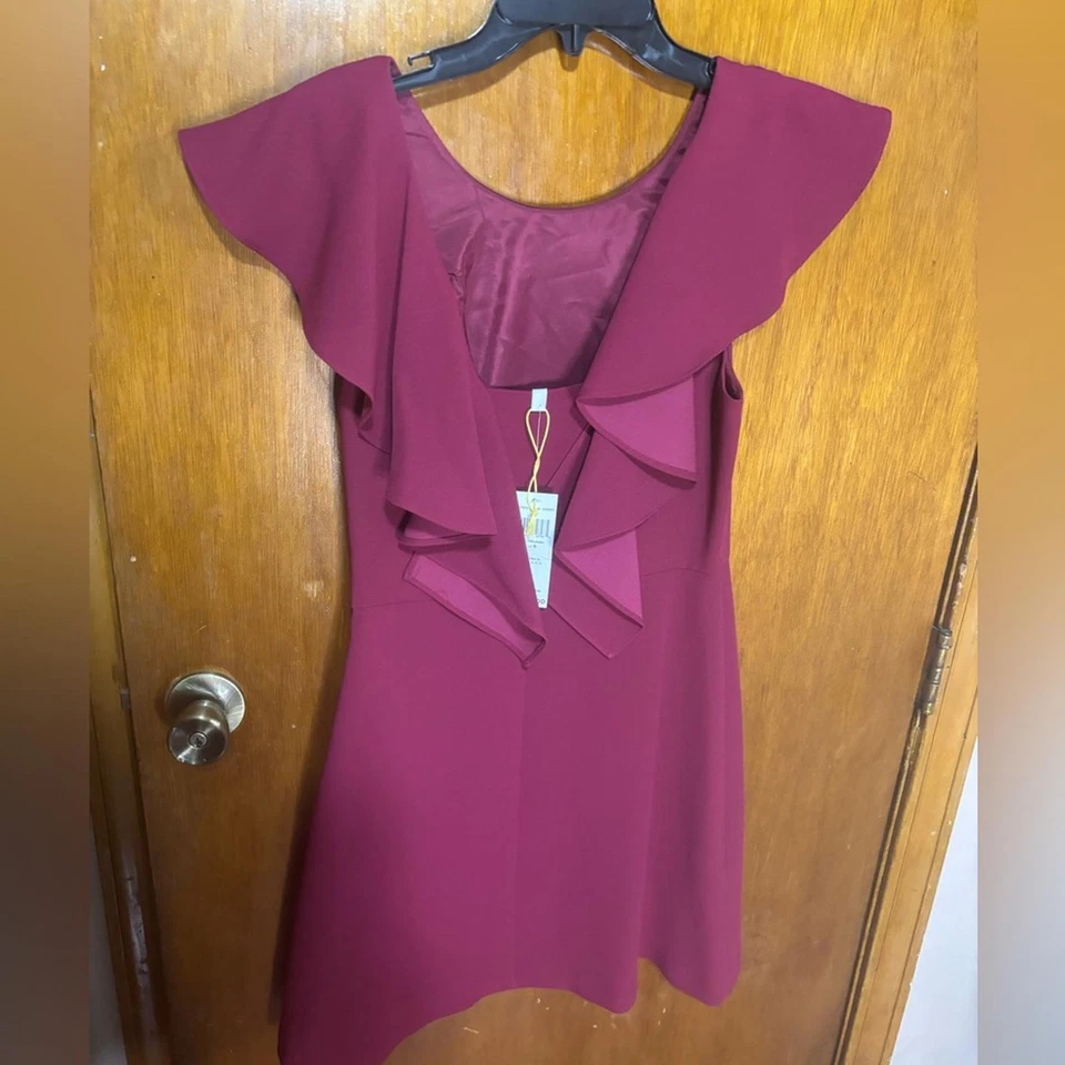 BCBG Talla 6 Vestido Color Frambuesa Romántico Lujo Fiesta Nupcial Rodilla Nuevo con Etiquetas Foto 2 de 4