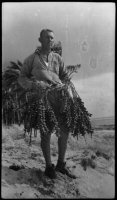 Lord Howe Island Unidentified man holding bunches of fruit from a - Old Photo