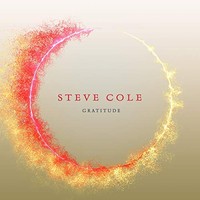 Steve Cole - Gratitude - Cd - F600Z