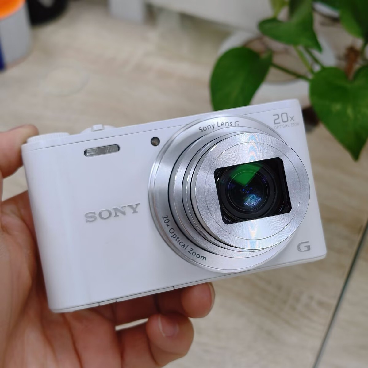 SONY Cyber-shot DSC-WX350 18.2 MP 20x Digital Zoom Digital Camera
