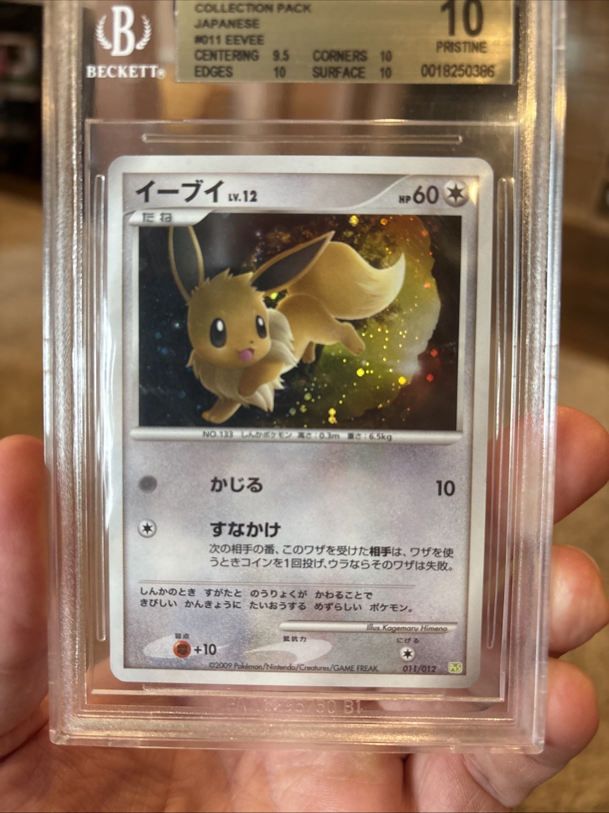 2009 POKEMON JAPANESE SHAYMIN LV.X COLLECTION PACK EEVEE #011 HOLO BGS 10 POP 1 view 2