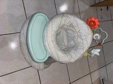 Skip Hop Silver Lining Cloud 2 in 1 Activity Seat