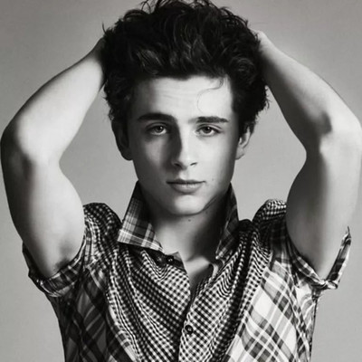 Timothee Chalamet With His Hand On His Head 4x6 Picture Celebrity Print