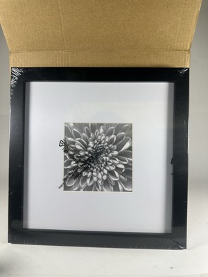8x8 Picture Frames Mat 4x4 Black Set Of 8