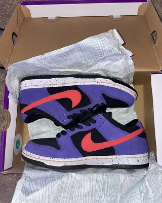 Size 10.5 - Nike Dunk Low Pro SB ACG Terra