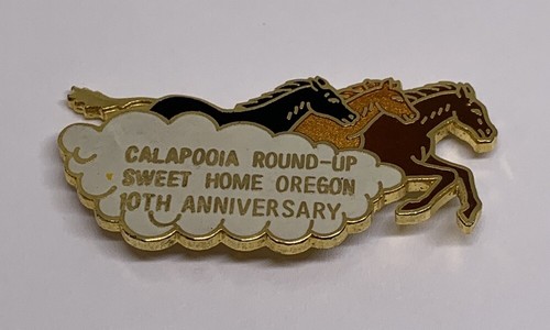 Calapooia Round Up Roundup 10th Anniversary Crawfordsville Oregon Pin ...