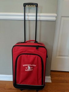 disneyland suitcase