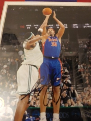 Rasheed Wallace Detroit Pistons NBA CSD Sports Framed Auto Home Game COA - Picture 4 of 7
