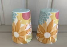 Portmeirion Crazy Daisey Salt And Pepper Cruet. New Unused