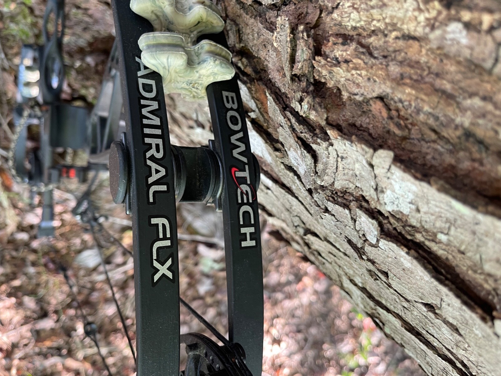 used bowtech compound bow right hand eBay