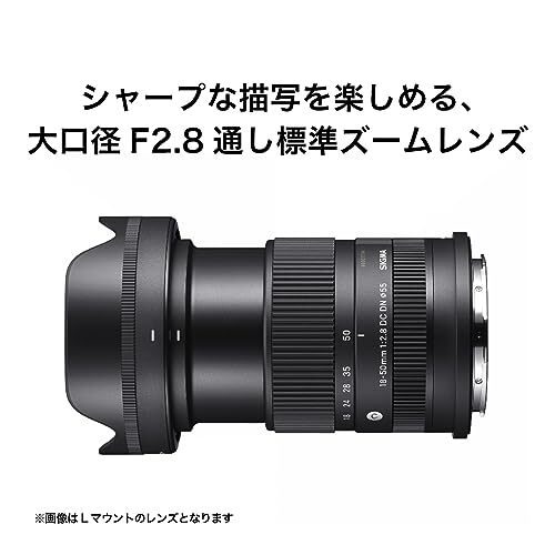 レンズ(ズーム) SIGMA18-50mmF2.8 DC DN comtemprary SonyE Sigma 18-50mm F2.8 DC DN Review | Photography Blog