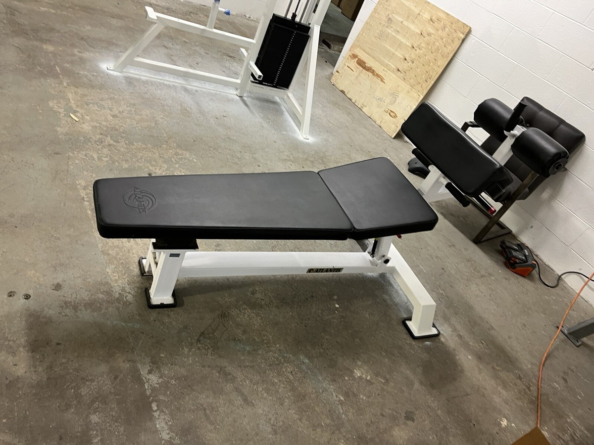 Lights Adjustable Bench Northern Lights Ab Bench Incline Decline