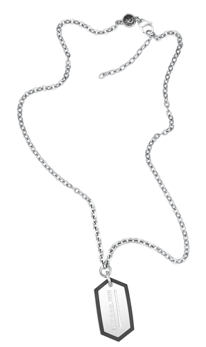 +BRAND NEW DIESEL MENS BLADE ICONIC DOG TAG NECKLACE CHAIN DX0996040 RRP £129 - Picture 2 of 4