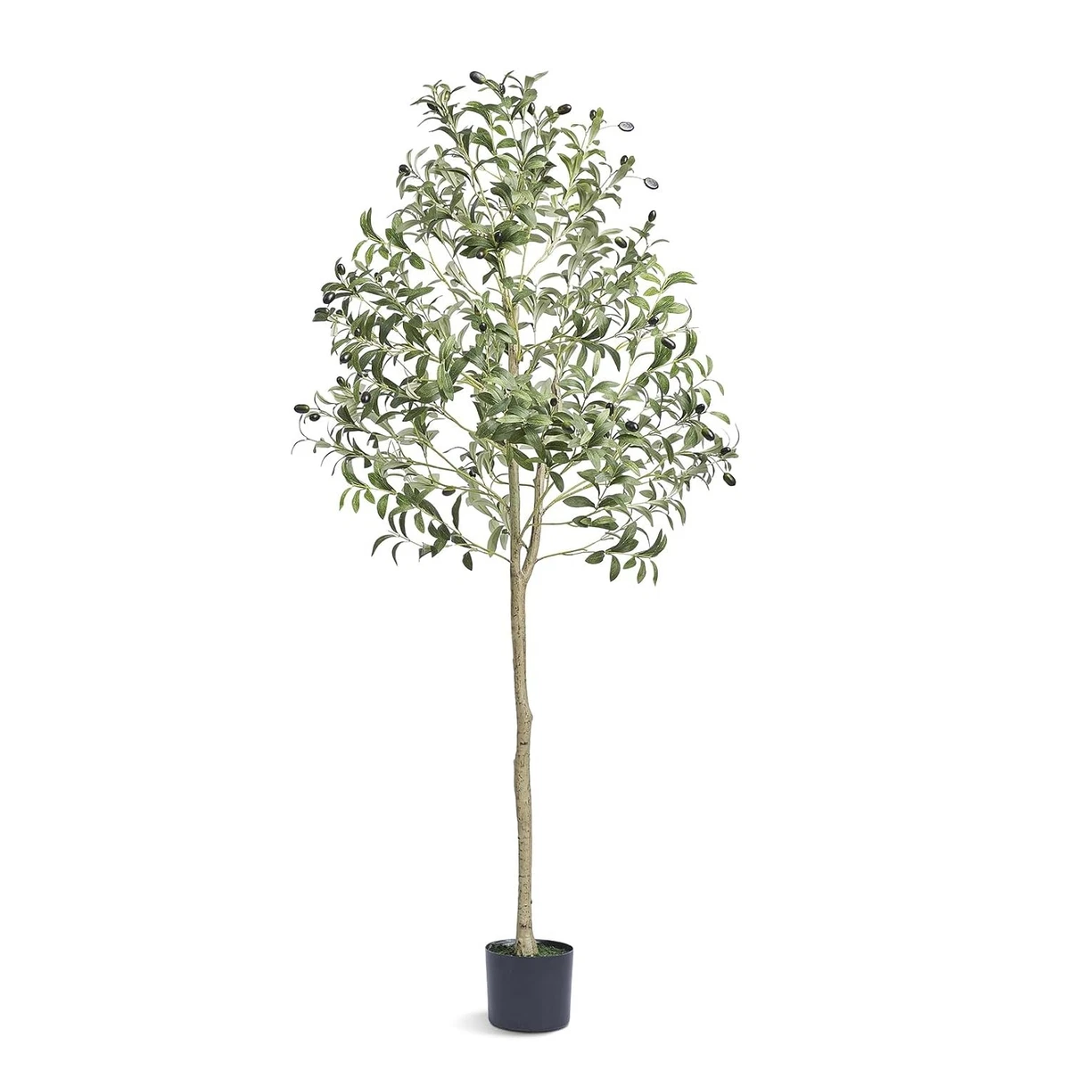 Knstliche Olivenbume online kaufen | eBay.de