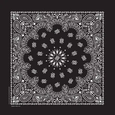 Bandana 100 Cotton Paisley Print Double-Sided Scarf Head Neck Face Mask 22"X22"