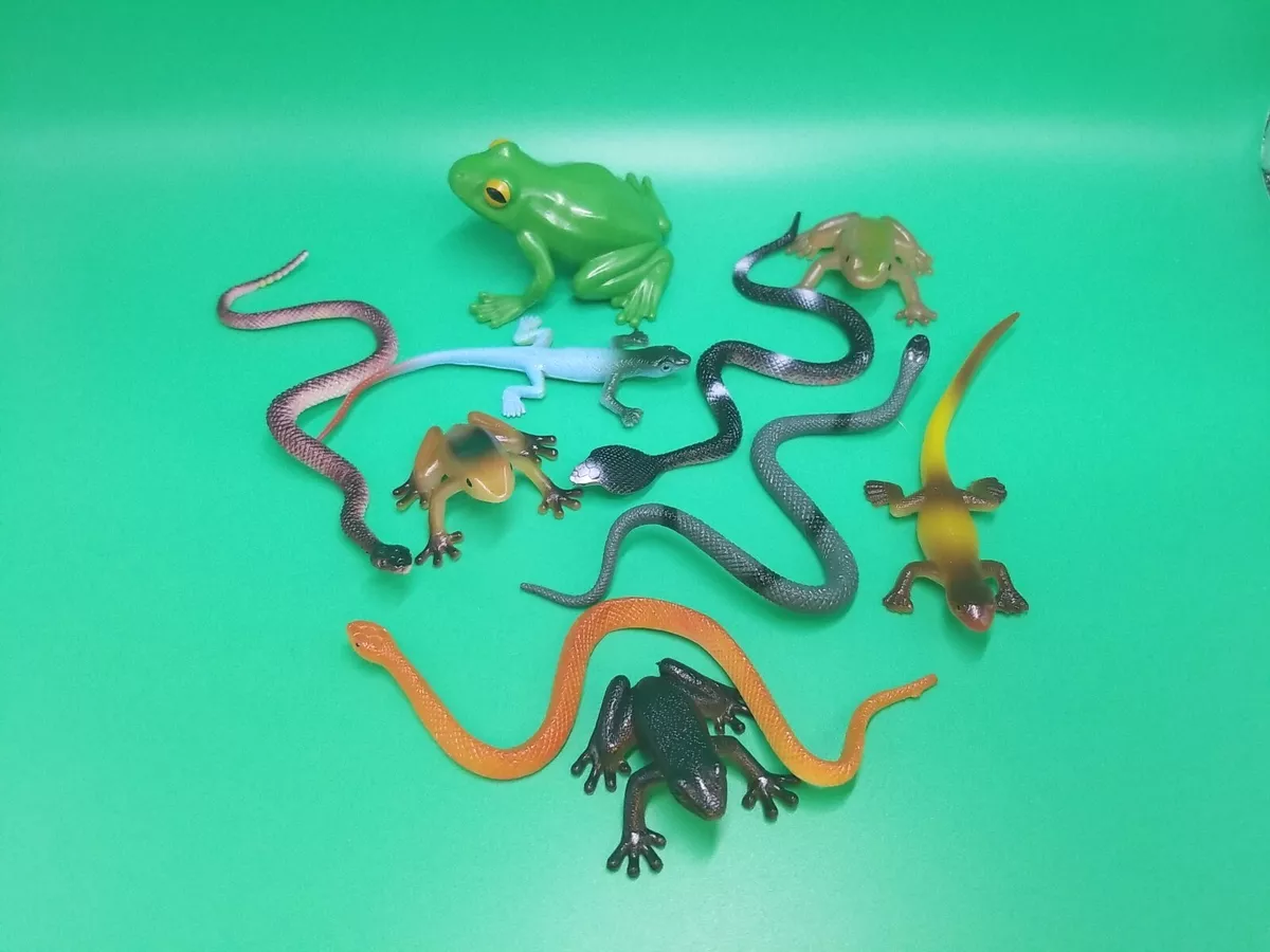 Is a snake an amphibian or reptile 2025