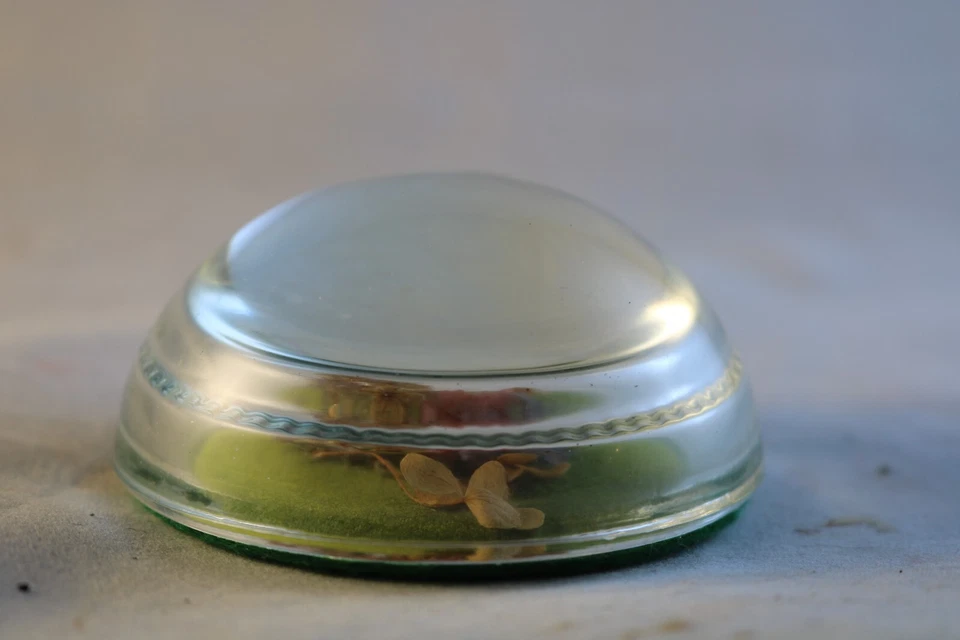 Peso de papel de vidrio vintage flores silvestres con respaldo de fieltro verde Foto 3 de 4