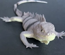 Iguana Lizard Educational Animal Toy Figure 10”,  A-5