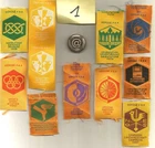 Badge PATENTS FSE Progression Scouting SCOUTS Be Ready FEEUF GSE EDF Badge 1