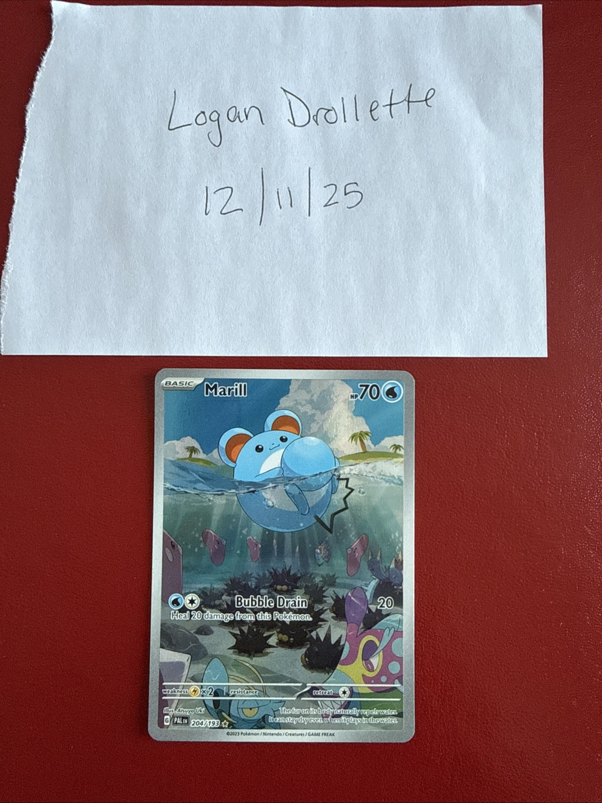 Pokemon Paldea Evolved Marill Illustration Card 204/193 Rare NM Condition