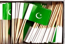 Box of 100 Pakistan Toothpick Flags, 100 Small Mini Pakistani Flag Cupcake Picks