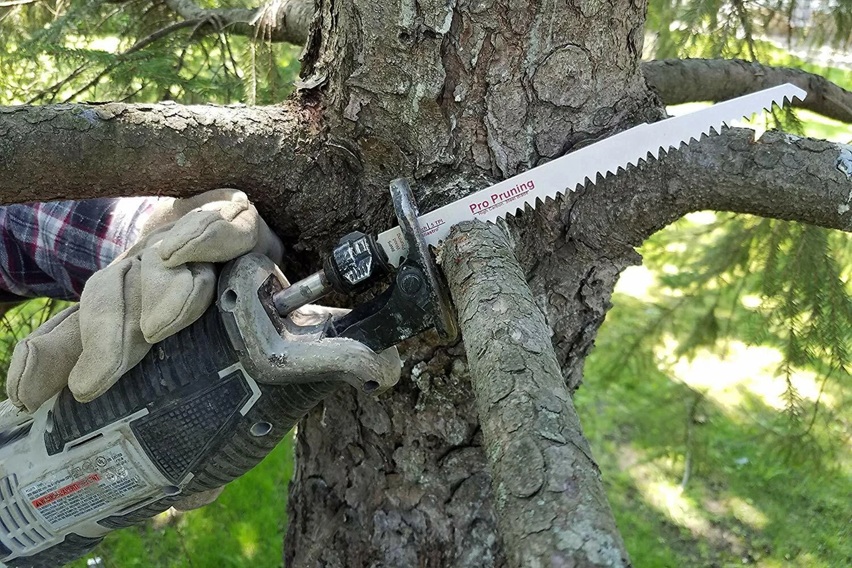 9 Inch Wood Pruning Reciprocating Saw Blades 5 TPI 5 Pack eBay
