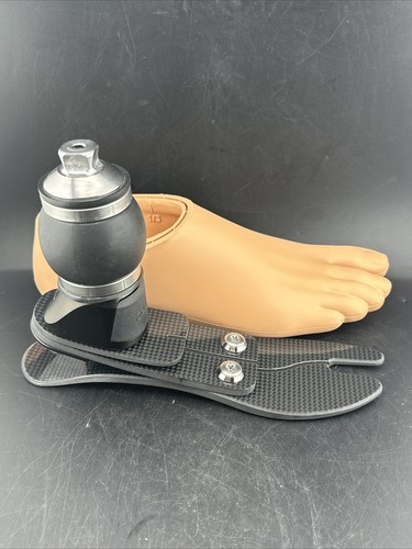 osur pro-flex LP Torsionsprothese Fuß. Größe 24. Kategorie 2. Rechter Fuß - Bild 6 von 17