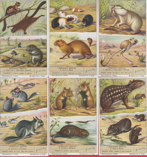 FIGURINE LIEBIG SERIE ITALIANA COMPLETA ROSICANTI ESOTICI N°1600  ANNO 1954