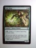 Jade Mage #193 (NM) Starter Commander SCD Magic MTG