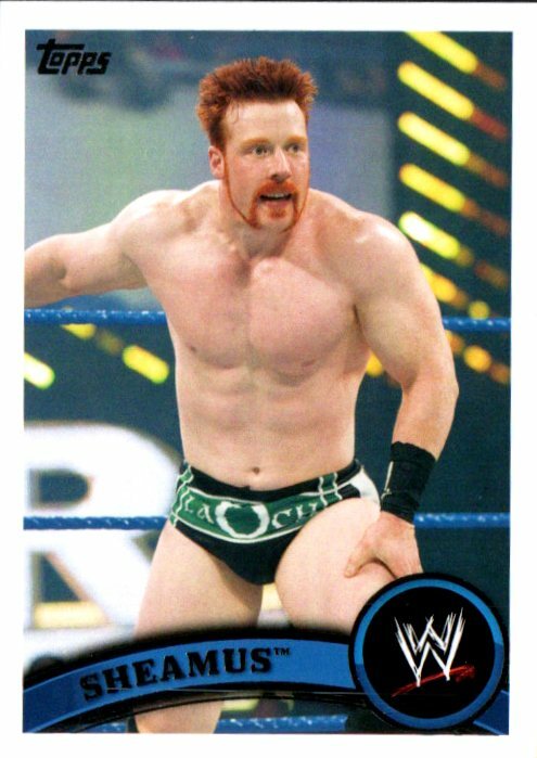 ロマンレインズ　サイン&レリックカード　44/50 TOPPS WWE ロマンレインズサイン&レリックカード44/50 TOPPS WWE