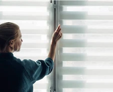 Zebra Roller Shades for Indoor Windows, Light Filtering 55"W x 72"H White Blinds