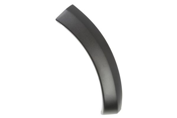 Left Rear BLIC 5703-04-1303597P Trim/Protection Strip, wing for DACIA,RENAULT