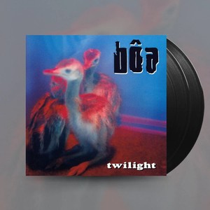 Boa Vinyl | eBay