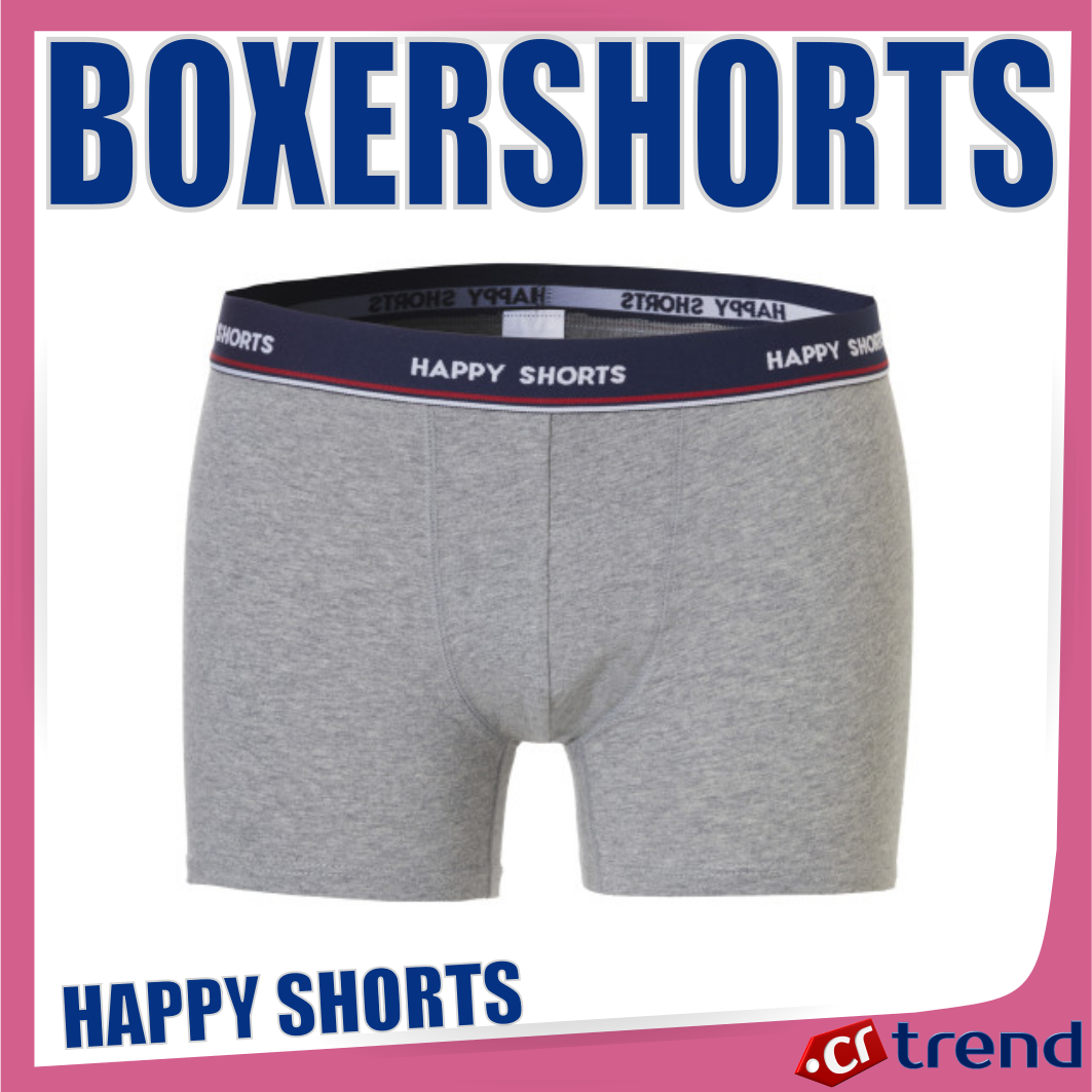 Happy Shorts Herren Retro Boxershorts – Weihnachtsmuster & Coole Designs, Bequeme Baumwoll-Unterwäsche