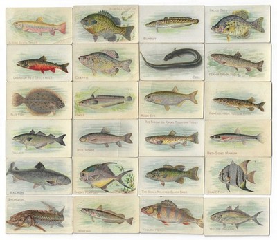 c1910's T58 Piedmont Tobacco Cards - Fish Series - 24 Different - Buy 1 or All!