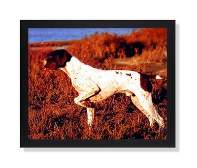 English Pointer Puppy Dog Kids Room Animal Picture Black Framed Art Print