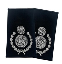 PAIR UK Fire Service Rank Epaulettes Assistant chief Silver Embroidery on Black