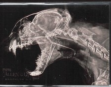 2024 Topps Allen & Ginter Bobcat X-ray'd #XR-8 BASEBALL