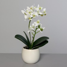 künstliche Orchidee, Phalaenopsis in weißem Topf  H. 30cm creme weiß DPI