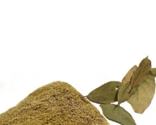 BAY LEAVES powder Indian Cooking SPICES Best Quality Tej Patta FREE SHIP 100gm